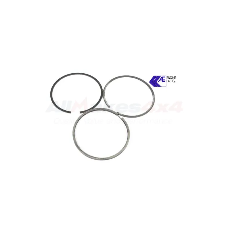 PETROL PISTON RING 010
