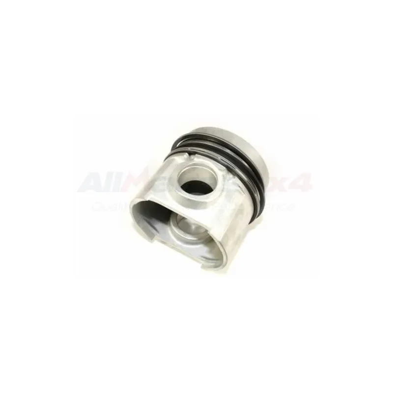 PISTON ASSY