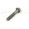 BOLT - FLANGED HEX