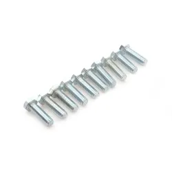 SCREW HEX HD