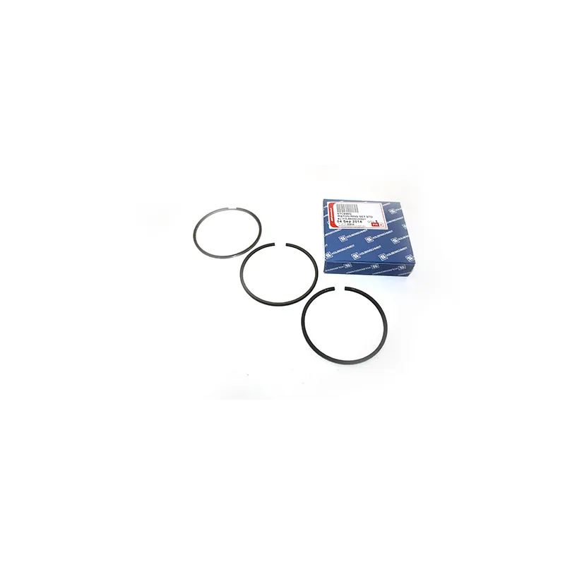 RING SET - PISTON - STANDARD - 300TDI