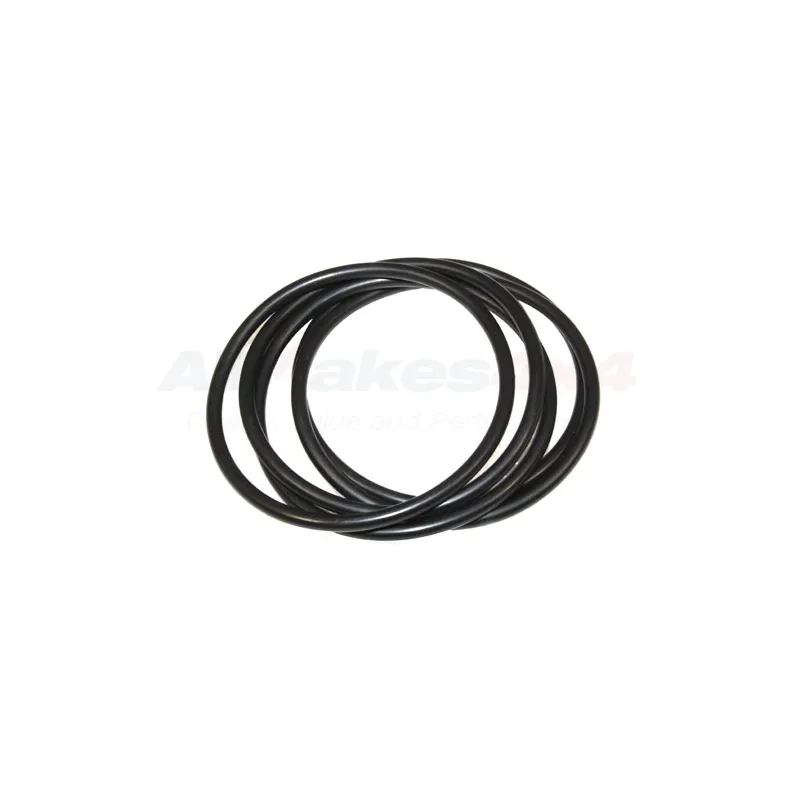 O RING-THERMO HSG
