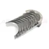 BEARING SET - MAIN