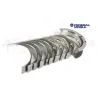 BEARING SET - MAIN