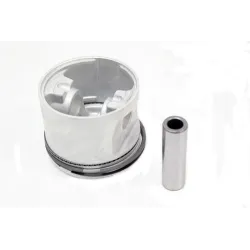 PISTON ASSY +20