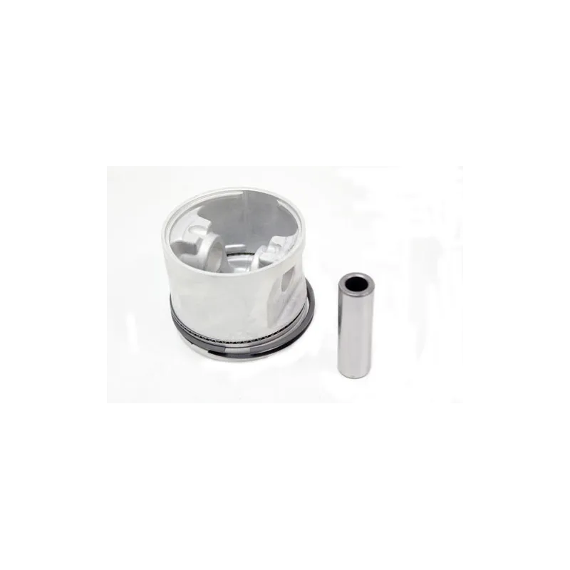 PISTON ASSY +20