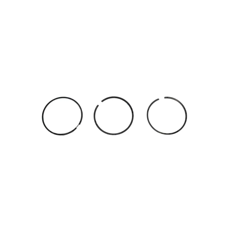 PISTON RING SET 020
