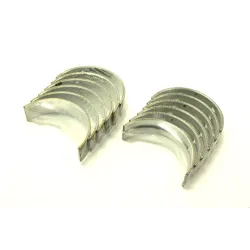 BEARING SET MAIN 010