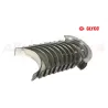 BEARING SET - MAIN