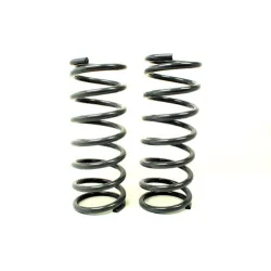 HEAVY LOAD FRONT SPRINGS +2"