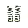 HEAVY LOAD FRONT SPRINGS +2"