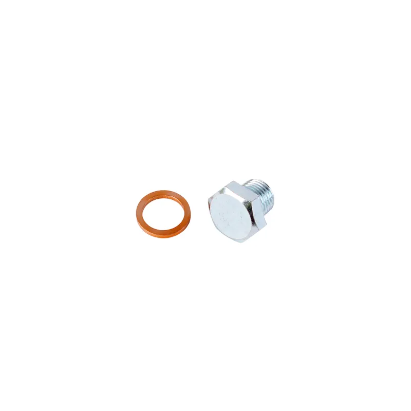 PLUG OIL SUMP