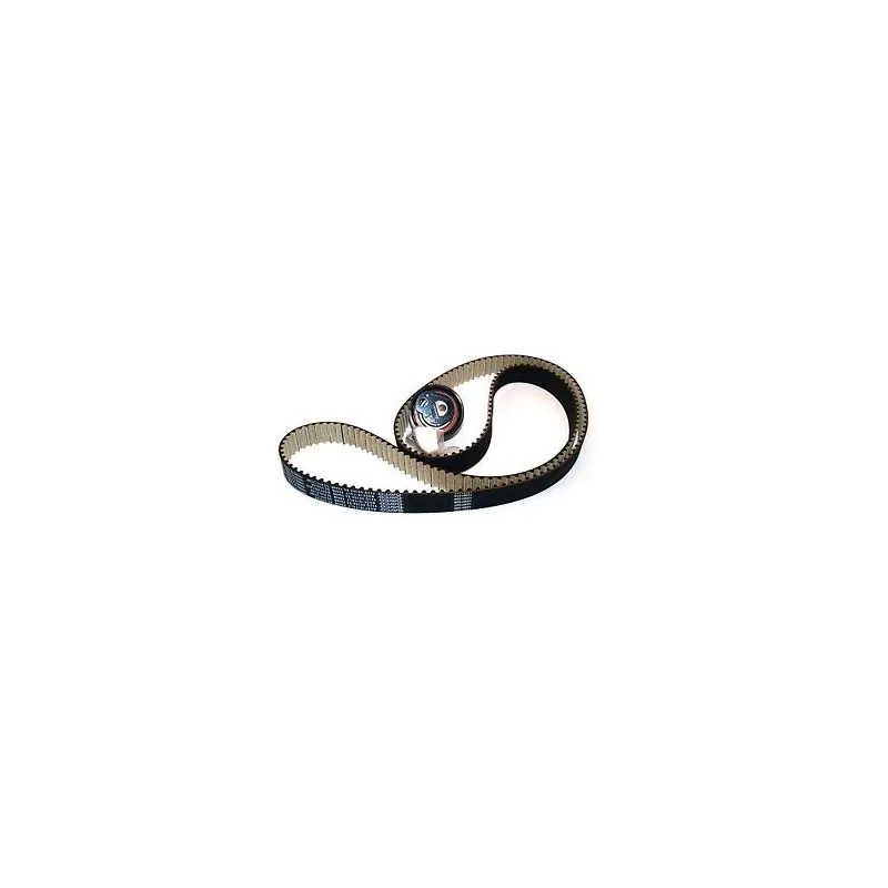 Discovery and Range Rover Sport Timing Belt Tensioner Kit