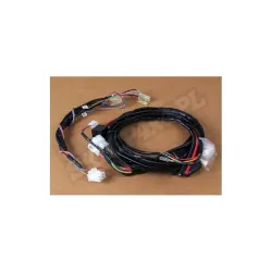 WIRING LOOM CKMA12/24