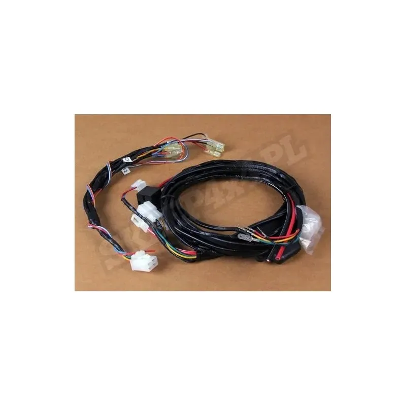 WIRING LOOM CKMA12/24