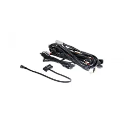 WIRING LOOM