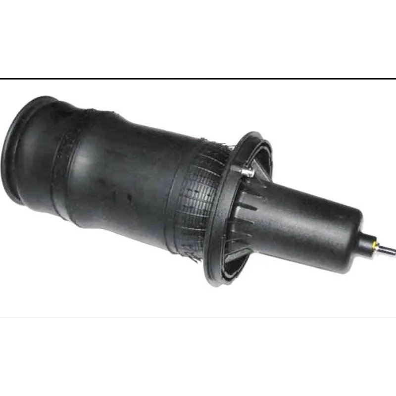 FRONT SPRING AIR SUSPENSION P38A, Dunlop