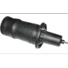 FRONT SPRING AIR SUSPENSION P38A, Dunlop