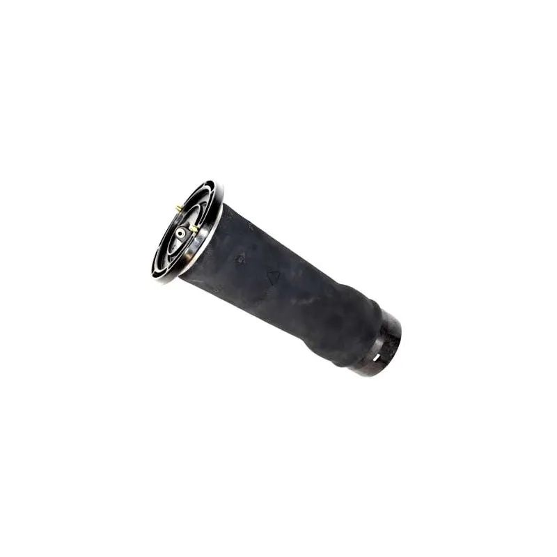 Spring Airsuspension Rear Discovery 2 OE 