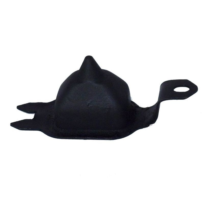 RNV100060