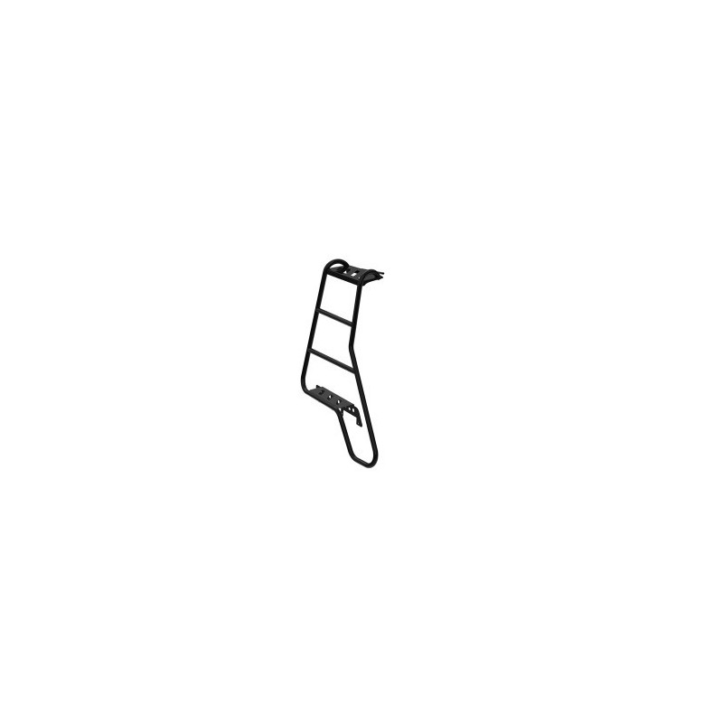 D3 and D4 Rear ladder