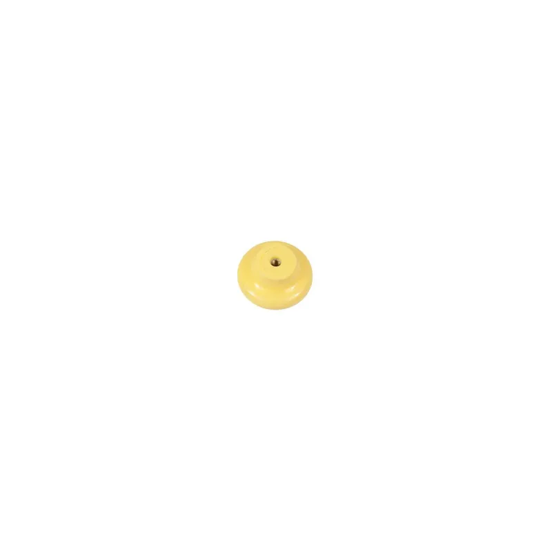 232813
